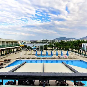 book here